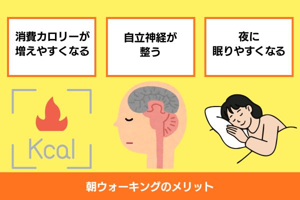 朝ウォーキングメリット
