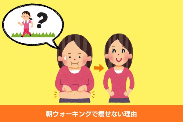 朝ウォーキングで痩せない理由